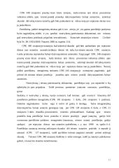 Draudimo piktnaudžiauti procesu ir pareigos bendradarbiauti santykis 11 puslapis