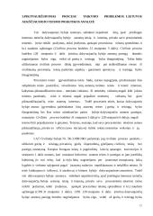 Draudimo piktnaudžiauti procesu ir pareigos bendradarbiauti santykis 12 puslapis