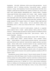 Draudimo piktnaudžiauti procesu ir pareigos bendradarbiauti santykis 13 puslapis