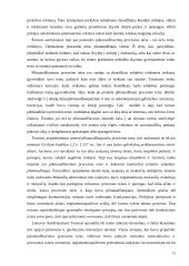 Draudimo piktnaudžiauti procesu ir pareigos bendradarbiauti santykis 15 puslapis