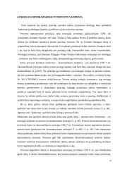 Draudimo piktnaudžiauti procesu ir pareigos bendradarbiauti santykis 18 puslapis