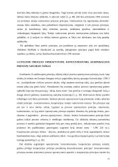 Draudimo piktnaudžiauti procesu ir pareigos bendradarbiauti santykis 19 puslapis