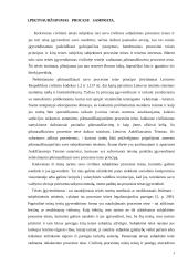 Draudimo piktnaudžiauti procesu ir pareigos bendradarbiauti santykis 3 puslapis