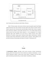 Komunikacijos samprata. Komunikacijos proceso modeliai 13 puslapis