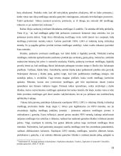 Atsargų apskaitos analizė  13 puslapis