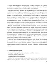 Atsargų apskaitos analizė  14 puslapis