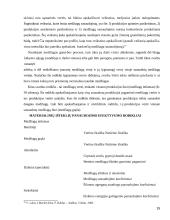 Atsargų apskaitos analizė  15 puslapis