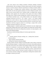 Atsargų apskaitos analizė  18 puslapis