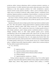 Atsargų apskaitos analizė  20 puslapis