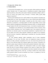 Atsargų apskaitos analizė  3 puslapis