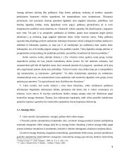 Atsargų apskaitos analizė  8 puslapis