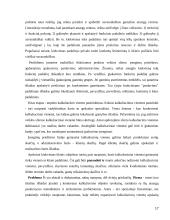 Atsargų apskaita ir jų panaudojimo analizė 17 puslapis