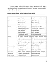 Atsargų apskaita ir jų panaudojimo analizė 3 puslapis