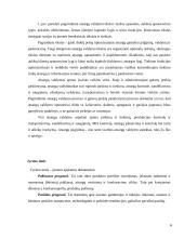 Atsargų apskaita ir jų panaudojimo analizė 4 puslapis