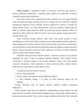 Atsargų apskaita ir jų panaudojimo analizė 5 puslapis