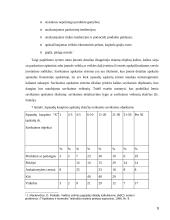 Atsargų apskaita ir jų panaudojimo analizė 9 puslapis