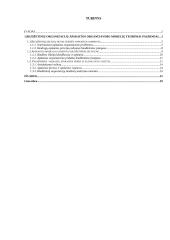 Biudžetinės organizacijos apskaitos organizavimo modelis