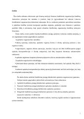 Biudžetinės organizacijos apskaitos organizavimo modelis 2 puslapis