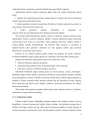 Biudžetinės organizacijos apskaitos organizavimo modelis 13 puslapis