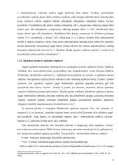 Biudžetinės organizacijos apskaitos organizavimo modelis 14 puslapis