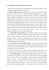 Biudžetinės organizacijos apskaitos organizavimo modelis 19 puslapis