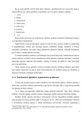 Biudžetinės organizacijos apskaitos organizavimo modelis 5 puslapis