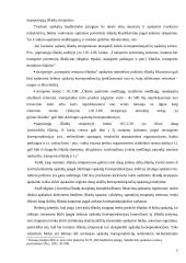 Biudžetinės organizacijos apskaitos organizavimo modelis 6 puslapis