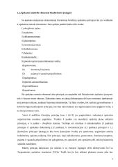 Biudžetinės organizacijos apskaitos organizavimo modelis 9 puslapis