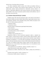 Biudžetinės organizacijos apskaitos organizavimo modelis 10 puslapis