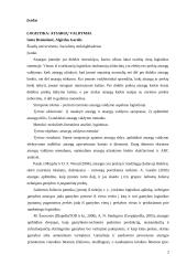 Atsargų valdymas logistikoje 2 puslapis