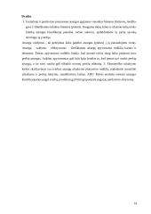 Atsargų valdymas logistikoje 14 puslapis