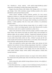 Atsargų valdymas logistikoje 3 puslapis