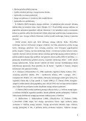 Atsargų valdymas logistikoje 4 puslapis