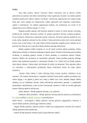 Išlaidų apskaitos sistemos ir jų pokyčiai 2 puslapis