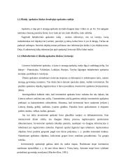 Išlaidų apskaitos sistemos ir jų pokyčiai 12 puslapis