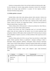 Išlaidų apskaitos sistemos ir jų pokyčiai 13 puslapis