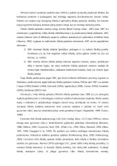 Išlaidų apskaitos sistemos ir jų pokyčiai 15 puslapis