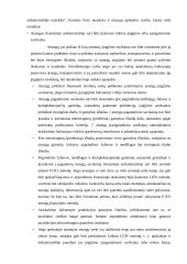 Išlaidų apskaitos sistemos ir jų pokyčiai 20 puslapis