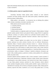 Išlaidų apskaitos sistemos ir jų pokyčiai 7 puslapis