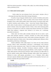 Įvairių šalių audito patirties lyginamoji analizė 11 puslapis