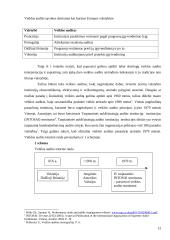 Įvairių šalių audito patirties lyginamoji analizė 12 puslapis