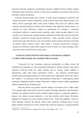 Įvairių šalių audito patirties lyginamoji analizė 15 puslapis