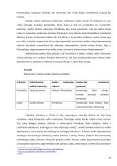 Įvairių šalių audito patirties lyginamoji analizė 19 puslapis