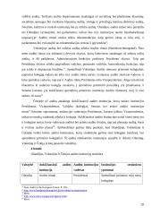 Įvairių šalių audito patirties lyginamoji analizė 20 puslapis