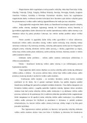 Įvairių šalių audito patirties lyginamoji analizė 3 puslapis