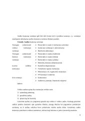 Įvairių šalių audito patirties lyginamoji analizė 8 puslapis