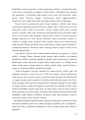 Lietuvos audito rūmų veikla 12 puslapis