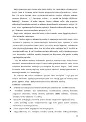 Lietuvos audito rūmų veikla 13 puslapis