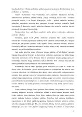 Lietuvos audito rūmų veikla 17 puslapis