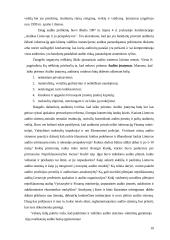 Lietuvos audito rūmų veikla 10 puslapis